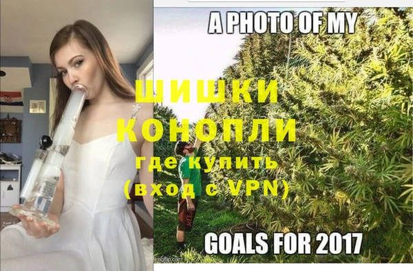 гидра Алзамай