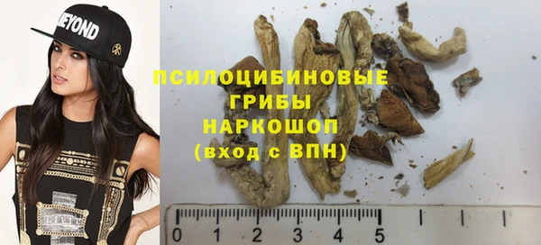 гидра Алзамай